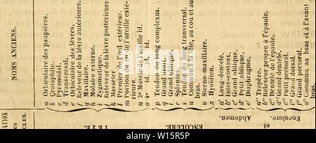 Image d'archive à partir de la page 176 du Dictionnaire d'hippiatrique et d'équitation . Dictionnaire d'hippiatrique et d'Ãquitation : ouvrage oÃ¹ se trouvent rÃunies toutes les connaissances hippiques . dictionnairedhip00card Année : 1848 MXJS   ( 159 ) s  = UM  = Â£ 2 - -- '  1 o 3 s  = &lt;Â°s    ; o 2 5.2' 3 i 2- ; ? 5 -2 o u v t â  hio-li-li hio hio II D'apo-o-ifcmo 3 rolu ii â g.go-3. c c o A J;2 M â â  = H wjH:un U. Cl C h i. o   â â â p i  = Â Â Ã' S 5 : 2  = J'SÃo°2Â"-r'â 't'-LE-'S'iâ rsr-3 ; g 5 S Â£ 52 a est - S':j''S -3 s t -à-t - 32. a- Q. - ; ;  ..ii ,  = :;un ec.a-i. Xs;aS =Ã®t&gt ; S ; â¢Â sjnauaisoj Banque D'Images