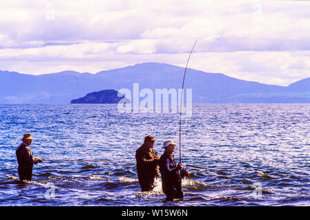 Nouvelle Zélande, île du Nord. Pêcheurs dans le lac Taupo, un relevé des stocks de pêche de la truite et de la truite brune introduit. Photo prise le 19 novembre Banque D'Images