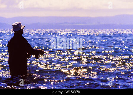 Nouvelle Zélande, île du Nord. Pêcheurs dans le lac Taupo, un relevé des stocks de pêche de la truite et de la truite brune introduit. Photo prise le 19 novembre Banque D'Images