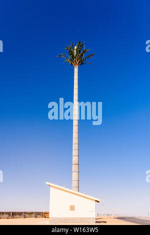 Mât d'antenne de téléphonie mobile sous la forme d'un grand palmier avec des feuilles, de la Namibie, de Langstrand Banque D'Images