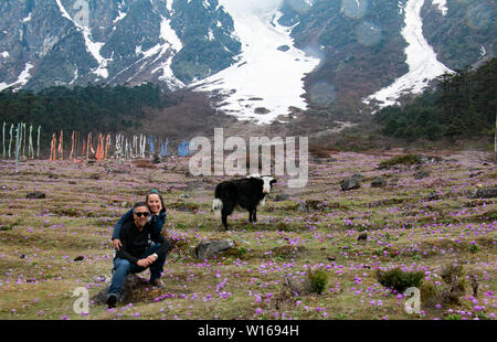 Miel à Lachung Banque D'Images