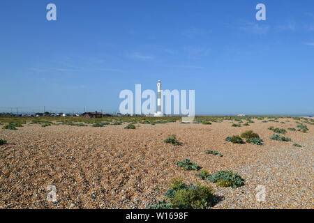 Nouveau phare à Dungeness, Kent, fin juin, lors d'une belle journée d'été avec le célèbre bardeau de la péninsule en premier plan. Banque D'Images