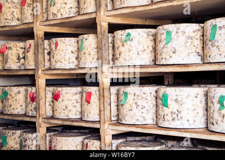 En tissu à lié truckles de maturation à cheddar fromage de Quicke, Devon, UK. Un traditionnel petit artisan fromager et laitier créé en 1540 Banque D'Images