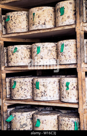 En tissu à lié truckles de maturation à cheddar fromage de Quicke, Devon, UK. Un traditionnel petit artisan fromager et laitier créé en 1540 Banque D'Images