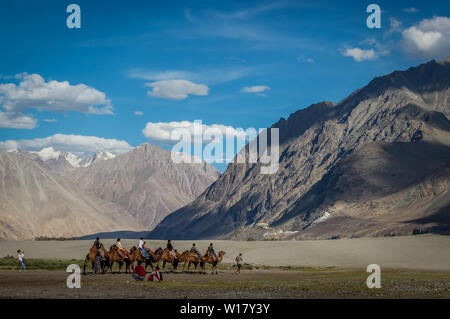 Le Ladakh, Inde ; en date du 14 mai 2019- : les touristes appréciant en chameau dans le désert froid du Ladakh. Le Ladakh paysage avec des montagnes du désert et ciel bleu Banque D'Images