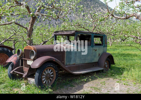 Antique car dans un bosquet d'arbres Banque D'Images