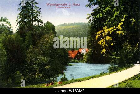 En Wernigerode Harz, Allemagne. Christianental. Carte postale, années 1910. Banque D'Images