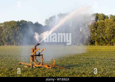 L'eau étant pulvérisé à un champ à cause de la sécheresse en été, l'agriculture en Europe Banque D'Images