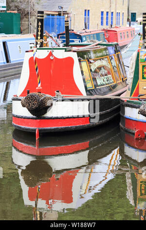 Ex-groupe Narrowboats colorés amarrés sur Rochdale Canal, Hebden Bridge Banque D'Images