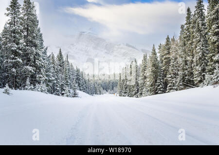 Route enneigée dans une montagne boisée sceney en hiver Banque D'Images