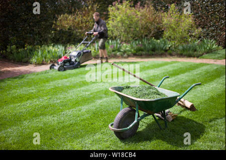 Tondre la pelouse jardinier au National Trust avec brouette Banque D'Images