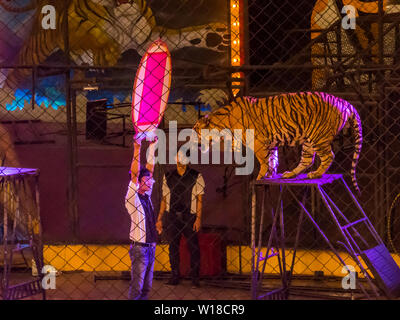 Vue de la Tiger à Sriracha Tiger Zoo, Pattaya, Thaïlande Banque D'Images
