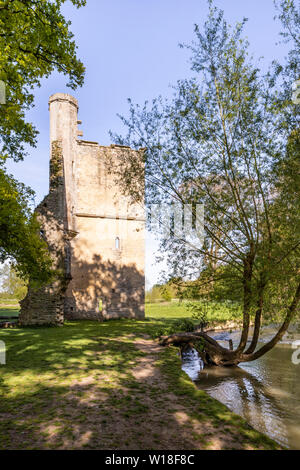 Lumière du soir sur les ruines de Minster Lovell Hall, un manoir du xve siècle sur les rives de la rivière Windrush, Minster Lovell Oxfordshire, UK Banque D'Images