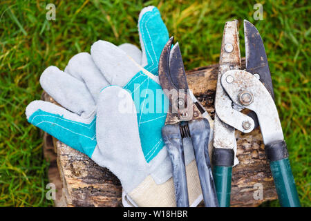 Gants de jardin avec de vieux jardin sécateurs pour travailler dans le jardin Banque D'Images