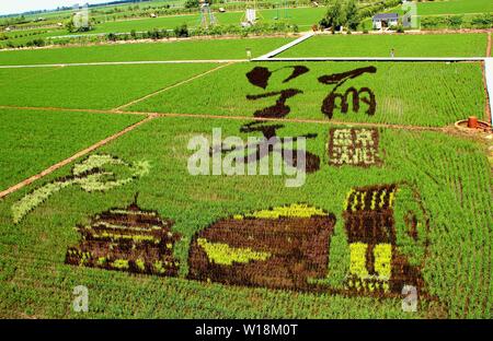 Shenyang, Shenyang, Chine. 1er juillet 2019. Le Tambo art''belle Beijing' Crédit : SIPA Asie/ZUMA/Alamy Fil Live News Banque D'Images