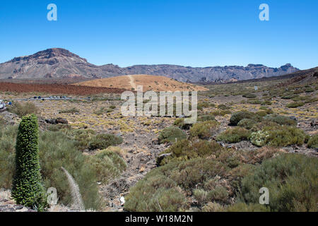 Vue près de vulcano , Teide Tenerife, Espagne Banque D'Images