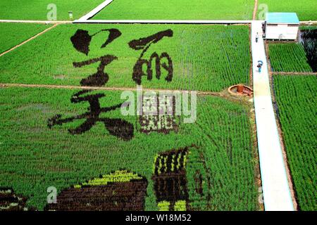 Shenyang, Shenyang, Chine. 1er juillet 2019. Le Tambo art''belle Beijing' Crédit : SIPA Asie/ZUMA/Alamy Fil Live News Banque D'Images