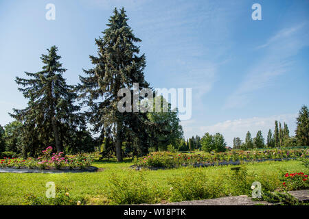 La ville de Riga, Lettonie nature Jardin botanique de paysages. 2019. Banque D'Images