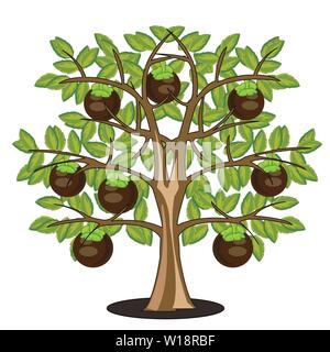 Vector illustration arbre avec fruit de mangoustan le fruit mûr Illustration de Vecteur