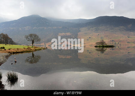 Mist sur Crummock Water, Parc National de Lake District, Cumbria, England, UK Banque D'Images