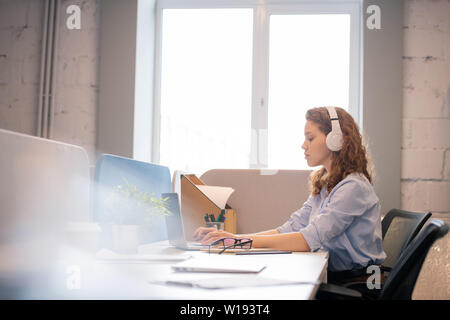 Jeune femme séduisante occupé sérieusement avec les cheveux bouclés portant des casques blancs assis à table et typing on laptop in office Banque D'Images