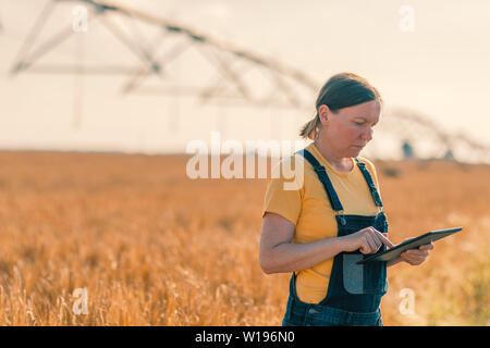 Producteur de blé à l'aide de tablette en champ de céréales avec du matériel d'irrigation. Agronome femelle en utilisant la technologie moderne dans l'agriculture l'activité agricole. Banque D'Images