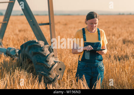 Producteur de blé à l'aide de tablette en champ de céréales avec du matériel d'irrigation. Agronome femelle en utilisant la technologie moderne dans l'agriculture l'activité agricole. Banque D'Images