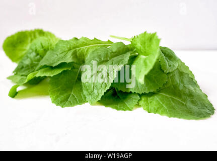 Les jeunes feuilles fraîches bio de printemps verts comestibles isolé sur fond blanc close up. Alimentaire écologiquement propre.,accueil jardin, une saine alimentation co Banque D'Images