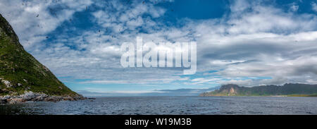 Bleiksøya birdcliff, Bleik, Andenes, Vesteralen, andoya, en Norvège. Banque D'Images