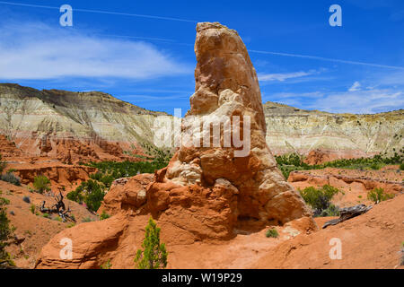 Rock formations dans le sud-ouest de l'Utah, USA Banque D'Images