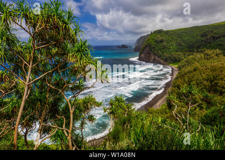 L'écrin de verdure de la Vallée de Pololu avec des vagues du rivage de l'alignement le long de la plage de sable de l'île de Hawaii, USA Banque D'Images