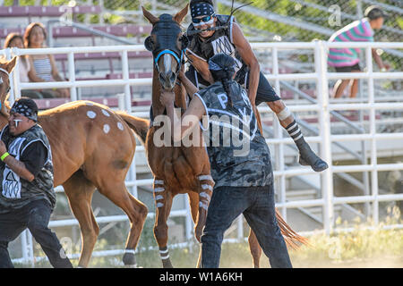 Premières Nations Pieds-noirs Relais indien (cheval) race, tenue à Strathmore, Alberta Canada Banque D'Images