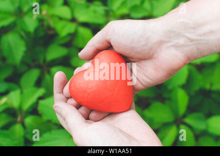 Les gens, les relations et l'amour concept - close up of mans hands holding cœur rouge sur fond vert Banque D'Images