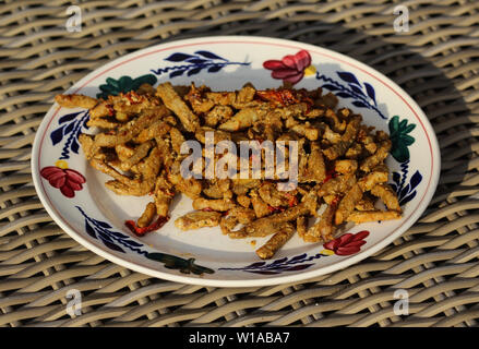 Close up of shawarma sur une plaque Banque D'Images