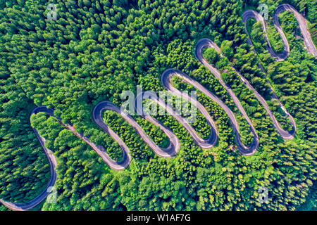 Vue aérienne d'une route de montagne sinueuse traverse une forêt de sapins Banque D'Images