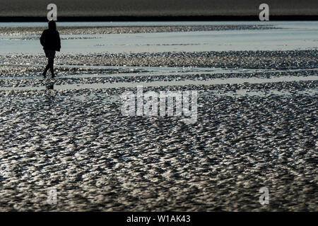 Femme seule vu dans le rétro-éclairage comme elle marche sur le sable humide à marée basse, Le Crotoy, Baie de Somme, Somme, hauts de France, France Banque D'Images