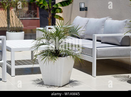 Coin de détente, d'un mobilier moderne en bois de la table gris vide, blanc, grand tableau plante en pot à l'extérieur à l'intérieur de la confortable terrasse privée Banque D'Images