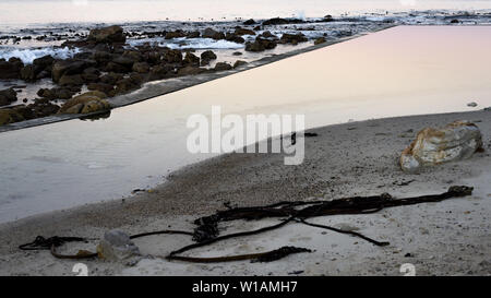 Le Glencairn bassin de marée sur la côte de False Bay Péninsule du Cap, près de Cape Town en Afrique du Sud Banque D'Images