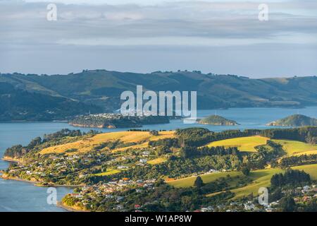 Port naturel de l'Otago Harbour, baie avec paysage vallonné, péninsule d'Otago, Dunedin, Nouvelle-Zélande
