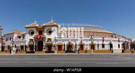 Les arènes de la Real Maestranza, Séville, Andalousie, Espagne Banque D'Images