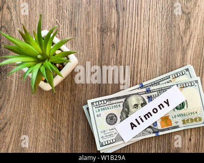 Paiements de pension alimentaire. Pile de dollars avec l'argent de la pension alimentaire et de la signer. Divorce et séparation concept. Banque D'Images