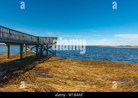 Une plate-forme d'observation délabrées au-dessus d'un grand lac, une étendue d'eau des prairies dans le parc provincial Lois Hole, Alberta, Canada Banque D'Images