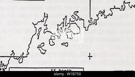 Image d'archive à partir de la page 33 du développement et de l'évolution de l'outil. Développement et l'évolution du plan de gestion de la pêche du hareng de la mer . developmentevolu00pier Année : 1983 • Banque D'Images