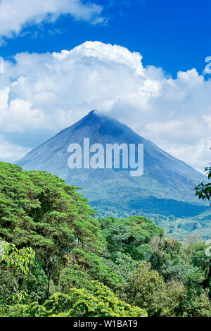 Le Volcan Arenal derrière la forêt tropicale, la Fortuna, Costa Rica Banque D'Images