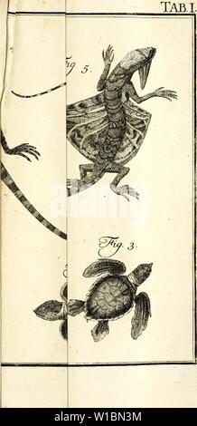 Image d'archive à partir de la page 434 de Des Ritters Carl von Linné. Des Ritters Carl von Linné . desritterscarlvo03linn Année : 1773 Banque D'Images