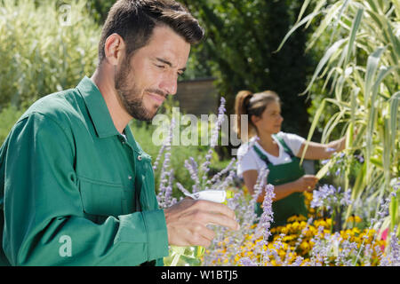 Un jardinier professionnel à l'extérieur Banque D'Images