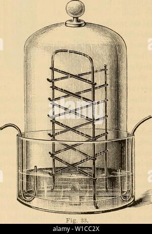 Image d'archive à partir de la page 591 de Die mikroorganismen mit besonderer Berücksichtigung Banque D'Images