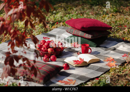 Les journées chaudes de l'automne. L'été indien. Pique-nique dans le jardin - couverture et oreillers de gris, la Bourgogne et la couleur verte sur l'arrière-plan de feuilles en automne. Séle Banque D'Images