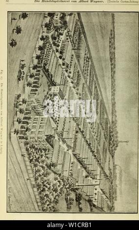 Image d'archive à partir de la page 73 de la Deutsche Garten-Zeitung (1886). . Deutschegartenze Garten-Zeitung Deutsche01witt Année : 1886 Banque D'Images