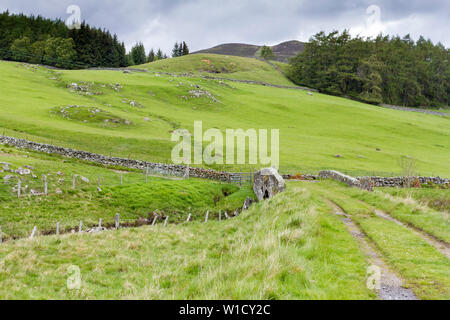 Paysage vert au printemps, rural Le Perthshire, Écosse, Royaume-Uni Banque D'Images